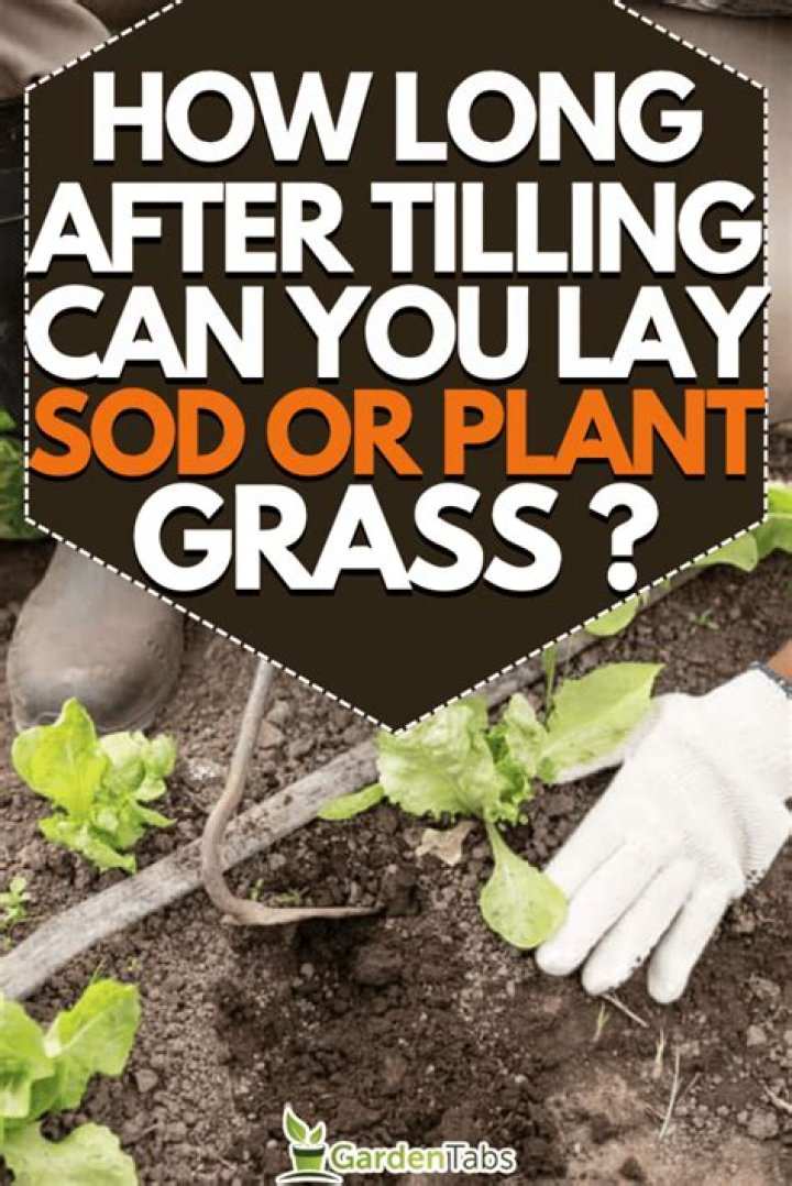 How long after tilling can i plant?