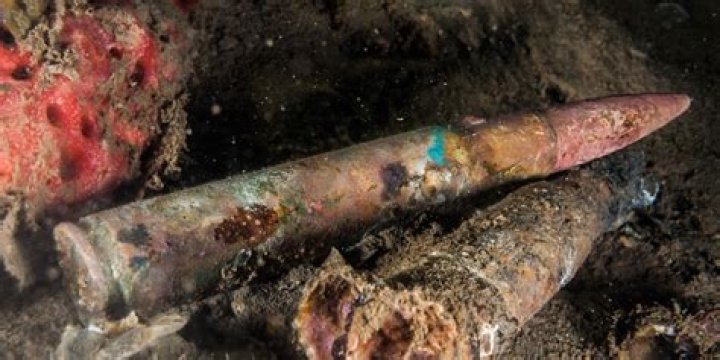 How long did it take to squat 315?