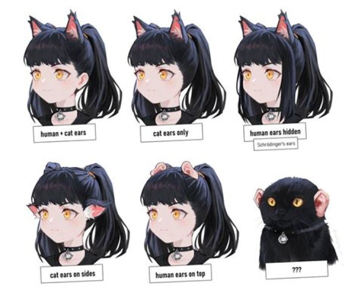 How many ears does a catgirl have?
