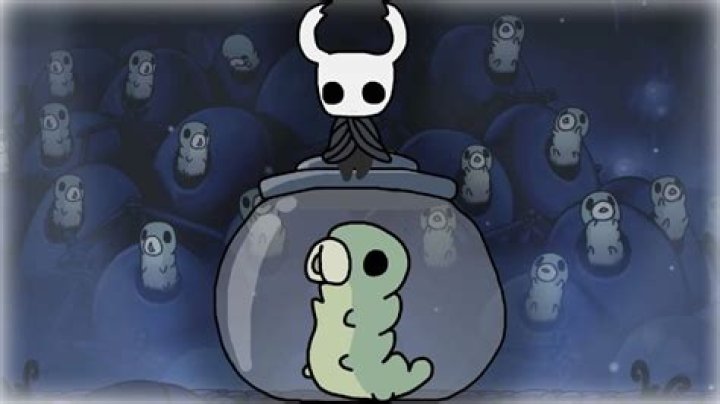 How many grubs have I found hollow Knight?