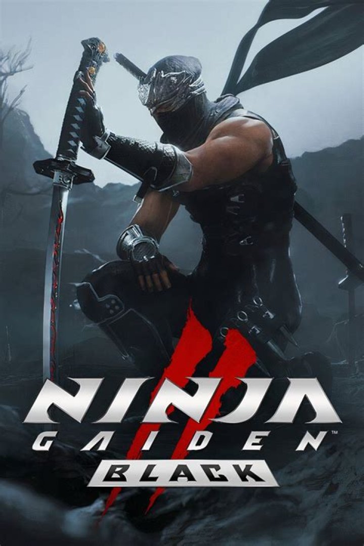 How many levels are in Ninja Gaiden Black?