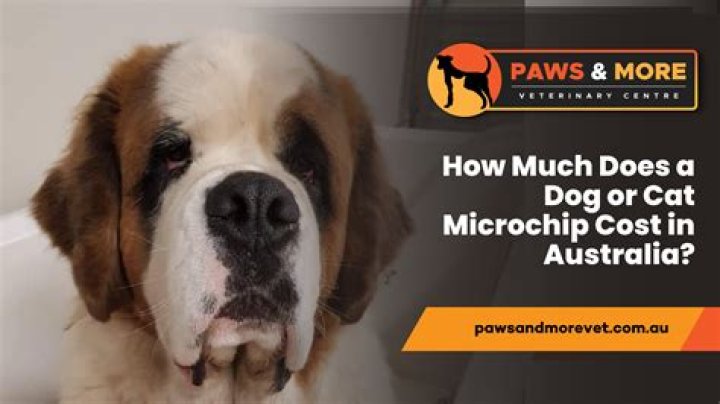 How much does it cost to park at Finch station?