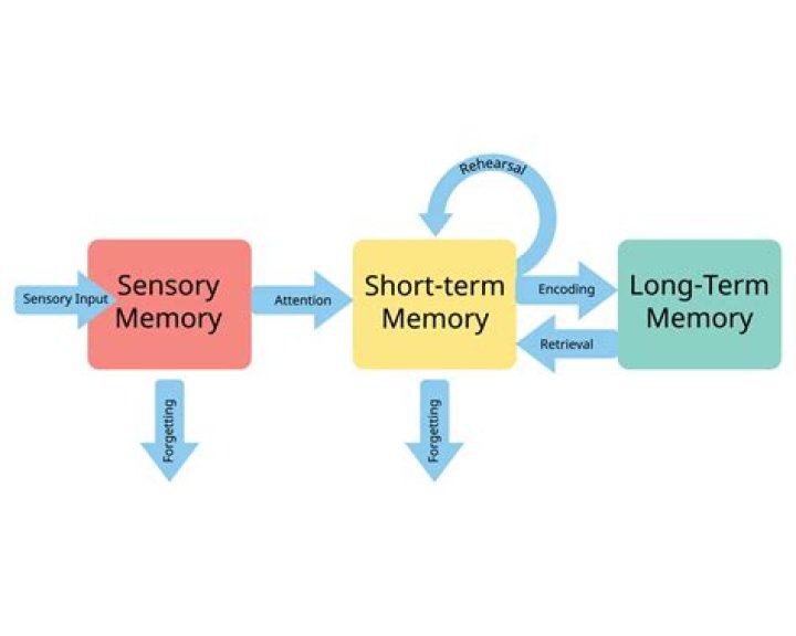 How to process sensory memory?