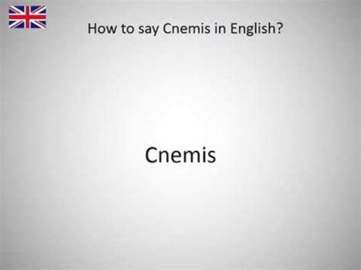 How to say cnemis?