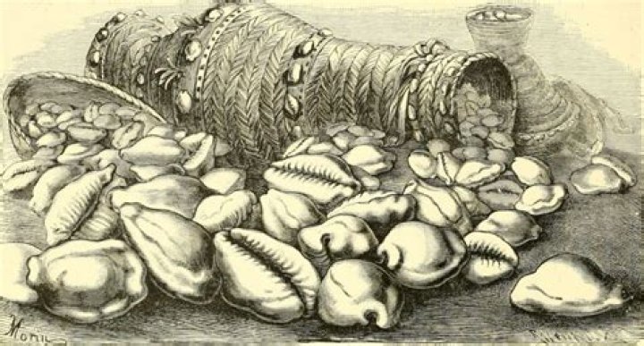 How to use cowrie shells for money?
