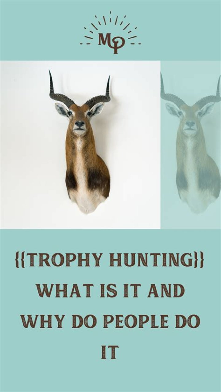 How trophy hunting is good?