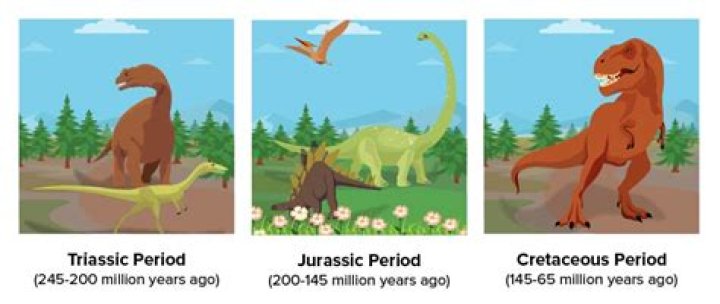 How was the cretaceous period different from the jurassic period?