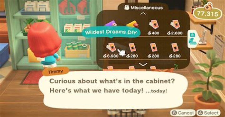 In animal crossing what is wildest dreams diy?