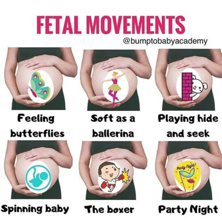 In pregnancy when do you feel flutters?