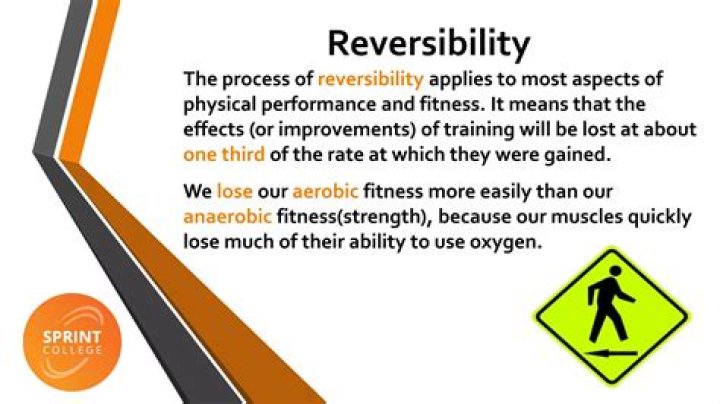 In thermodynamics what is reversibility?