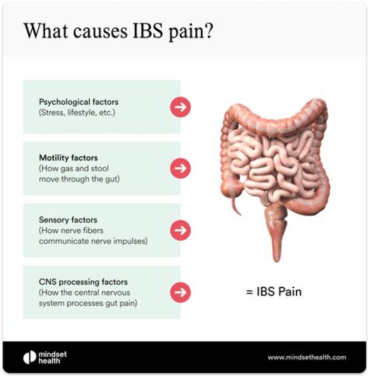 Is abdomen tender with ibs?