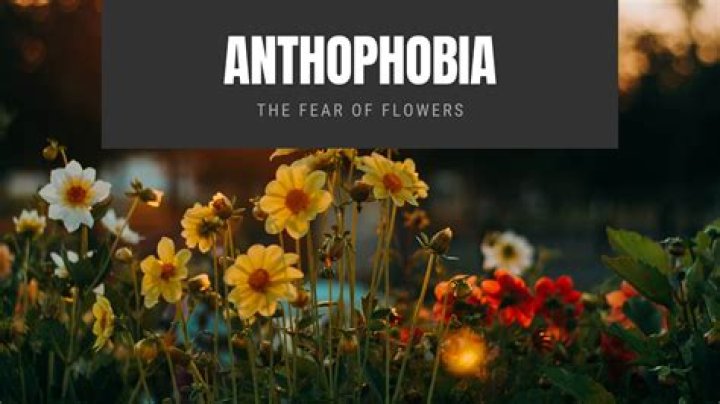 Is anthophobia the fear of flowers?