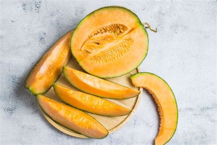 Is cantaloupe a cucurbit?