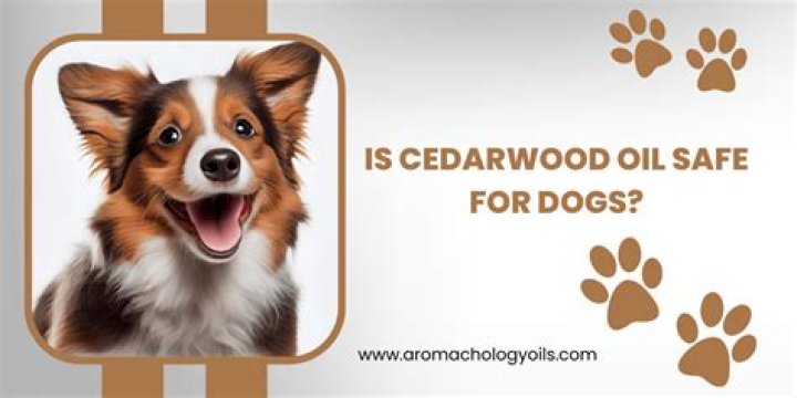 Is cedarwood oil safe for dogs?