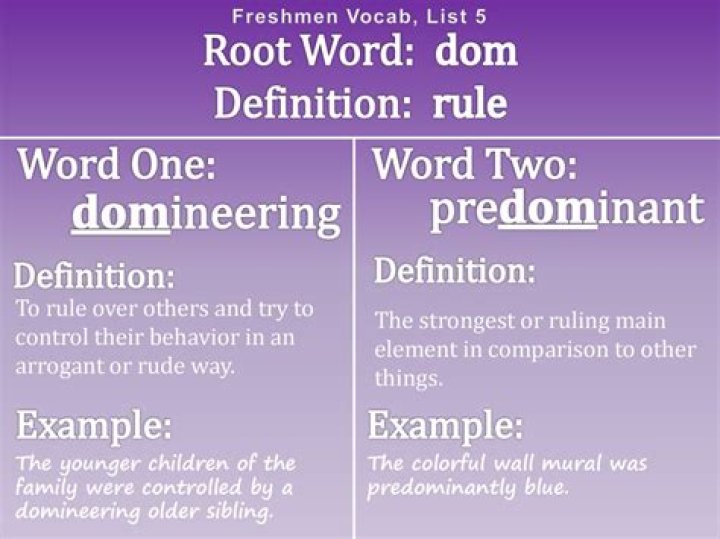 Is domineering ness a word?