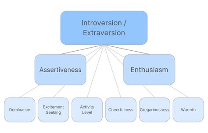 Is extraversion and introversion real?