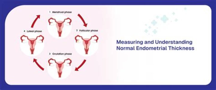 Is heterogeneous endometrium normal?