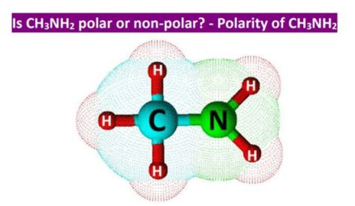 Is hydrophilicity polar or nonpolar?