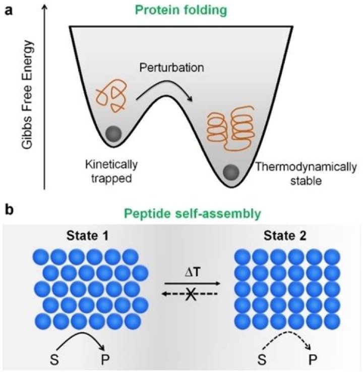 Is kinetically a real word?