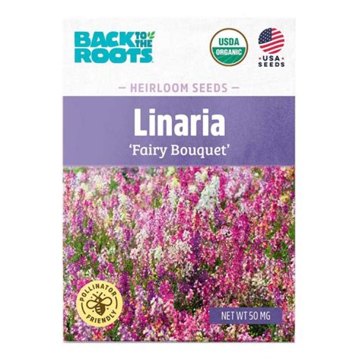 Is linaria fairy bouquet a perennial?