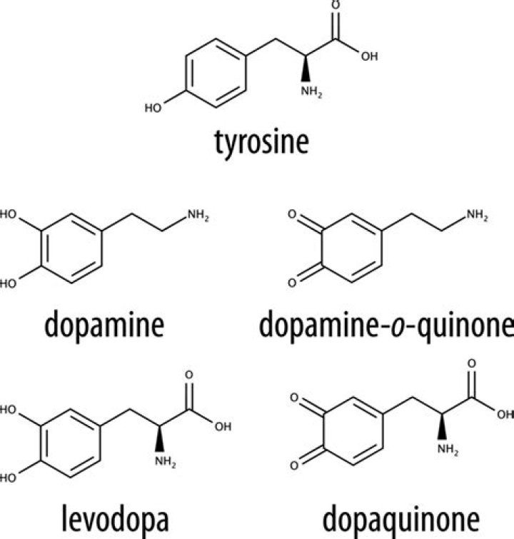 Is pyrroloquinoline quinone the same as quinine?