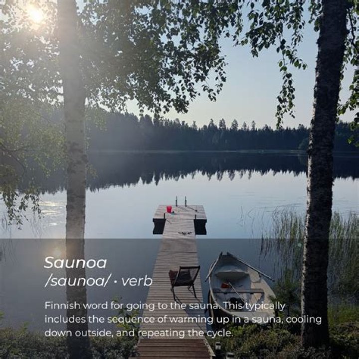 Is sauna a finnish word?