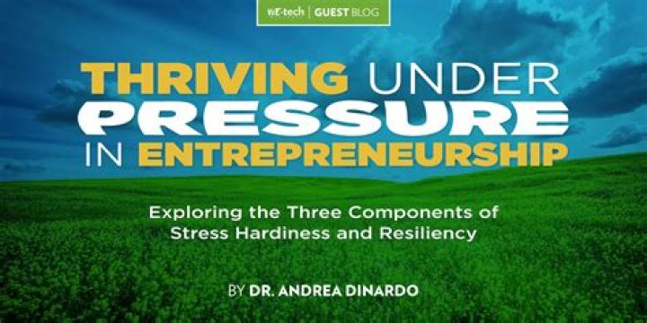 Is there a word insaneness?