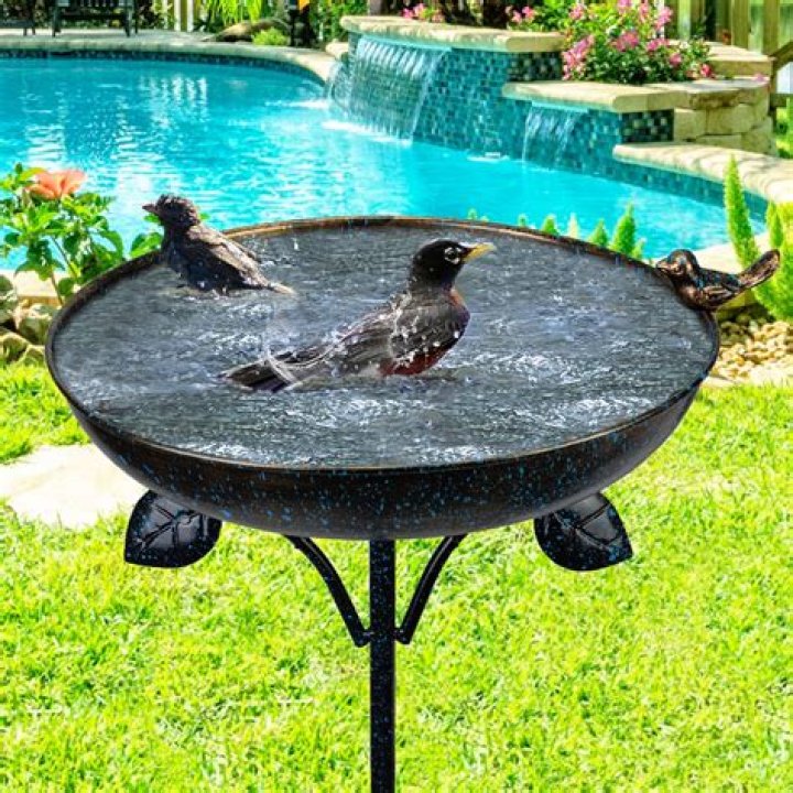 Should birdbaths be in the sun or shade?