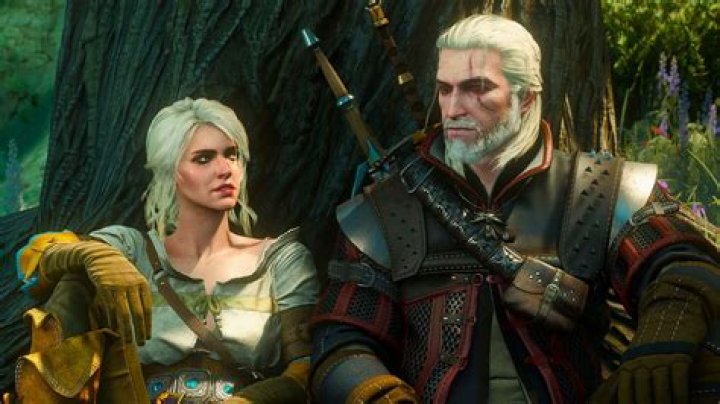 Should ciri become a witcher or empress?