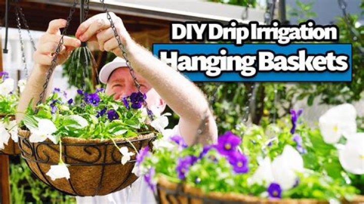 Should hanging baskets have drainage holes?