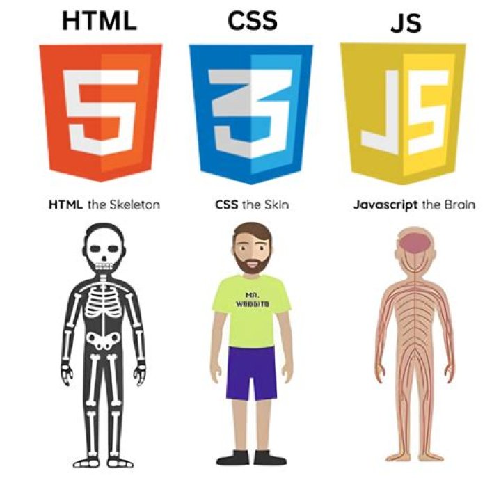 Should i learn js or ts?