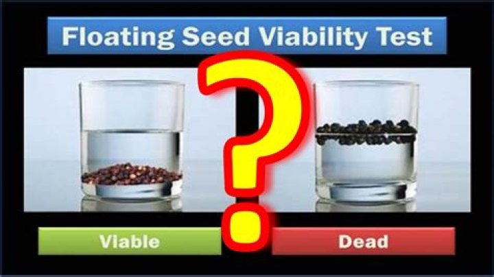 Should seeds float or sink?