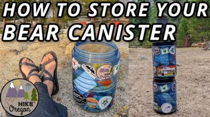 Should you hang a bear canister?