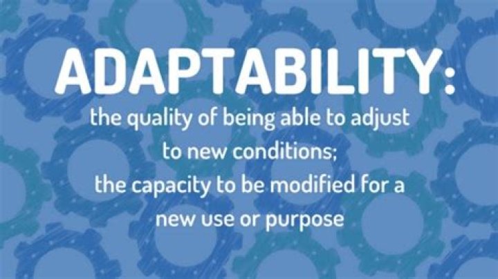 Was does adaptable mean?