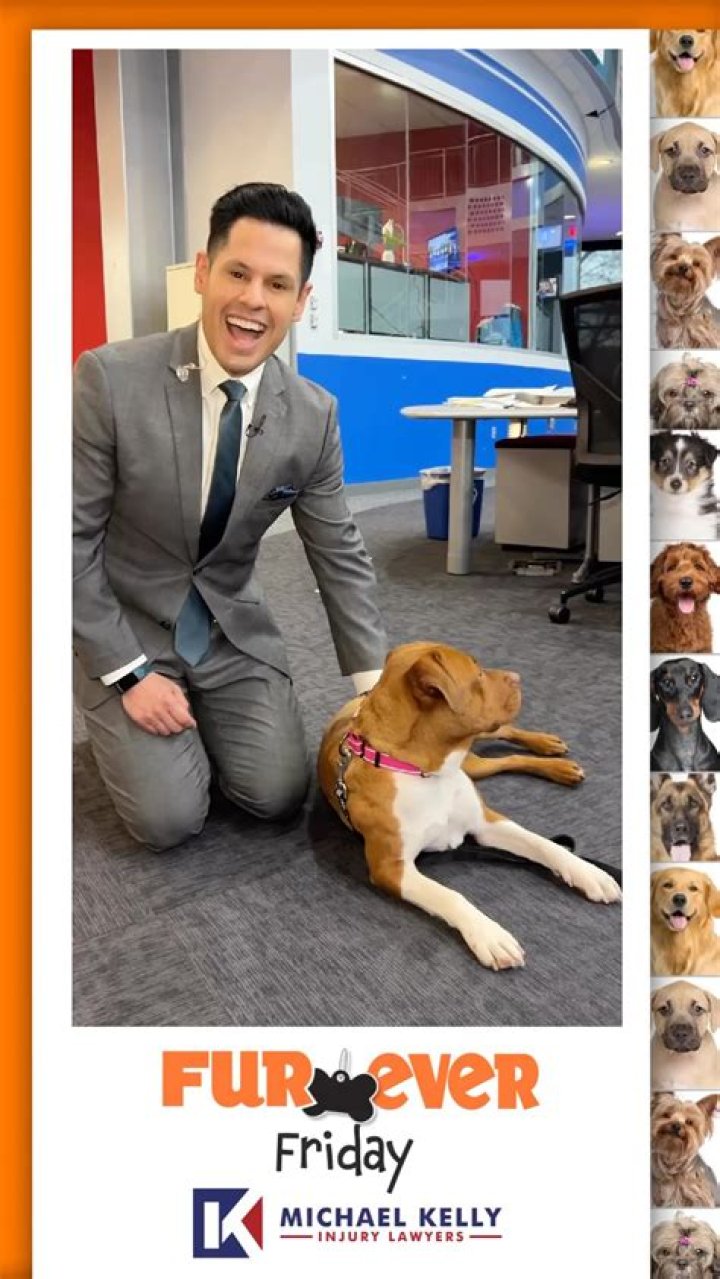 Was does biyearly mean?