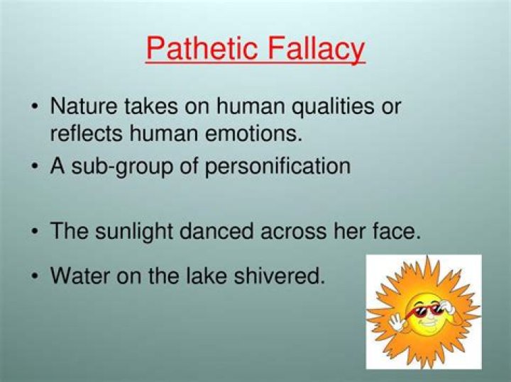 Was ist pathetic fallacy?