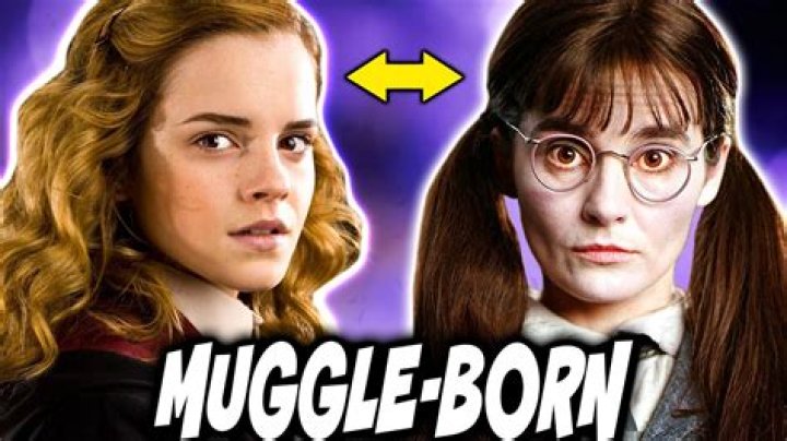 Were hermione's parents both muggles?