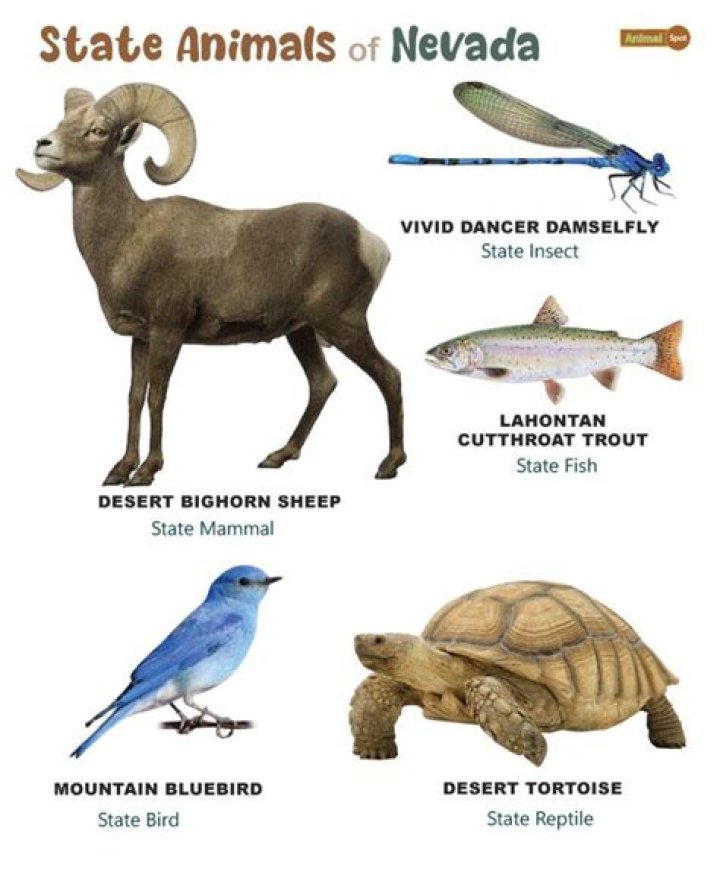 What are Nevada's three nicknames?