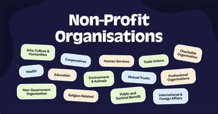What are the biggest nonprofit organizations?