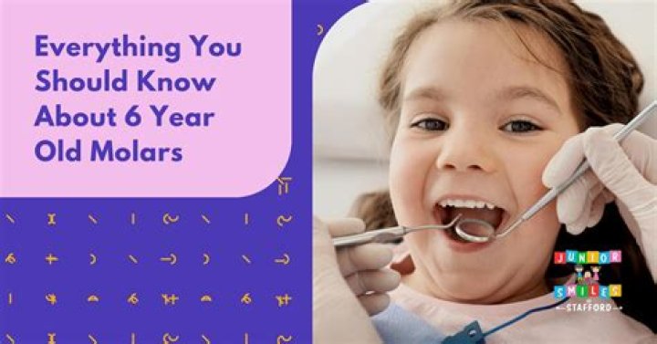 What are two year old molars?