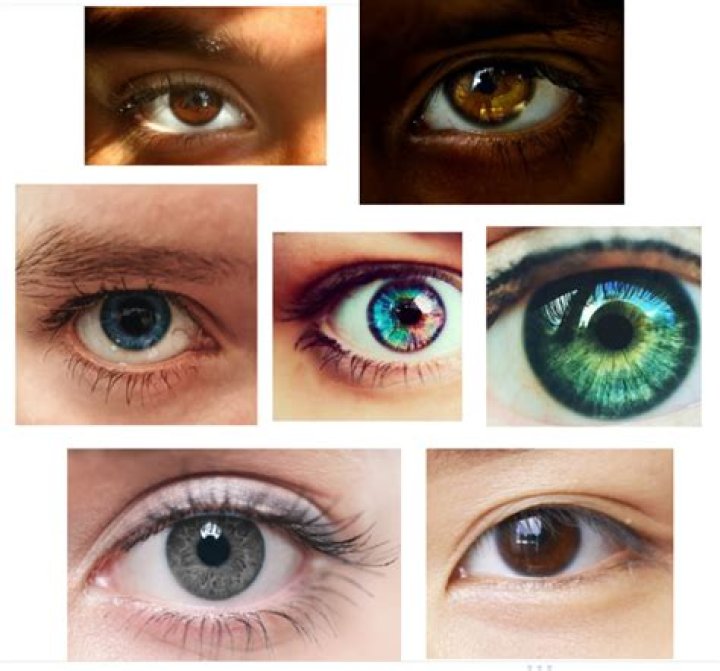 What color eyes do calicos have?