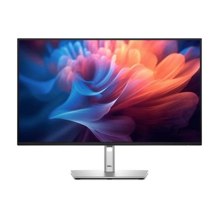 What do Dell monitor model numbers mean?