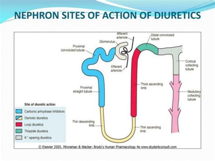 What do diuretics do?
