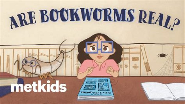 What does bookworm do?