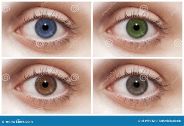 What does four eye Rick want?