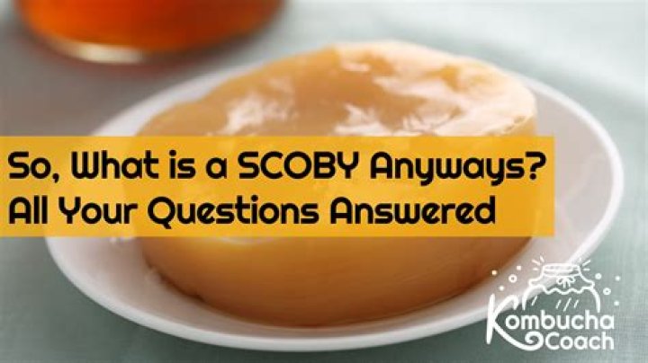 What does scoby taste like?
