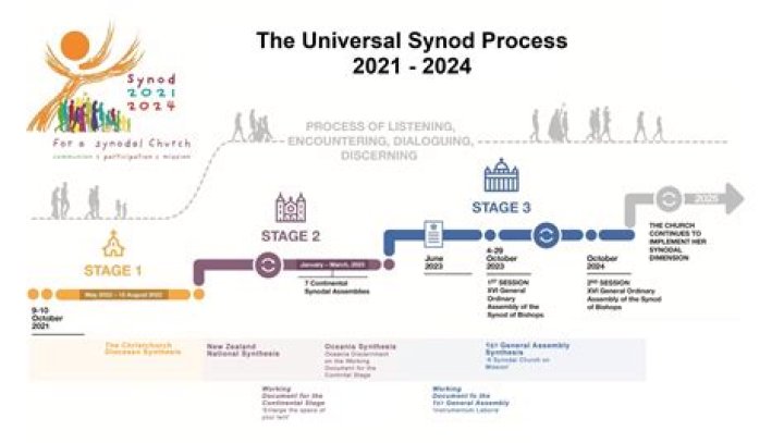 What does synodal path mean?