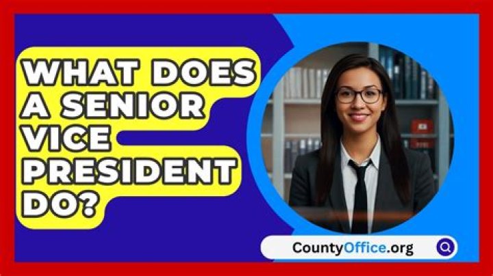 What does vice president mean?