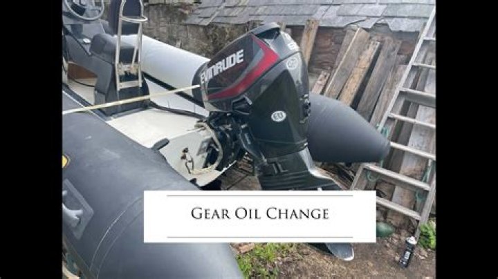 What evinrude motor do i have?