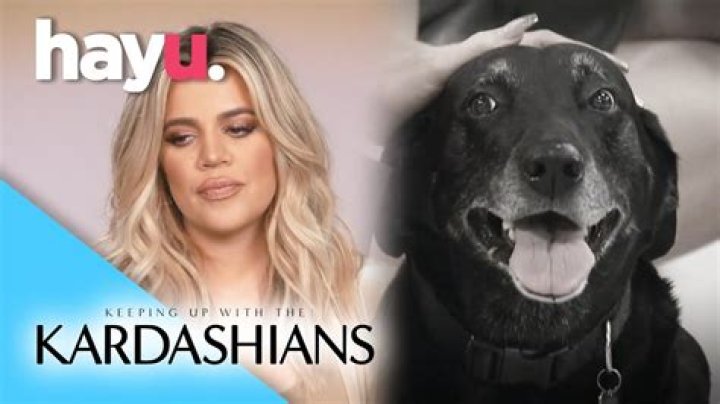 What happened to Khloe Kardashians dog Bernard?